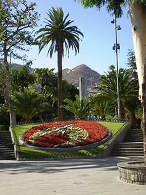 Retama Santa-Cruz de Ténérife